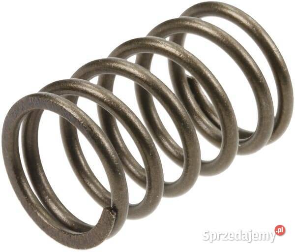 Zawór sprężynowy 590532 Kamionna