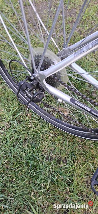 Rower męski Bolesławiec