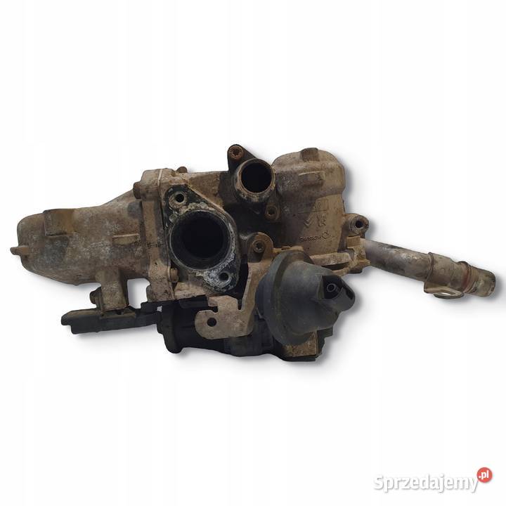 CHŁODNICA SPALIN EGR Ford Focus III MK3 16 TDCI Recyrkulacja spalin EGR Chełm