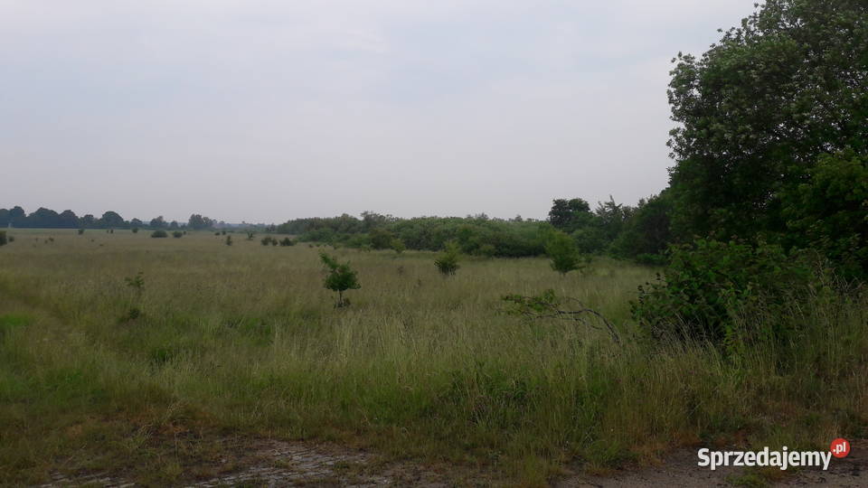 Grunt MORZEM 06ha kolo Jaroslawca 6080m2 zachodniopomorskie sprzedam