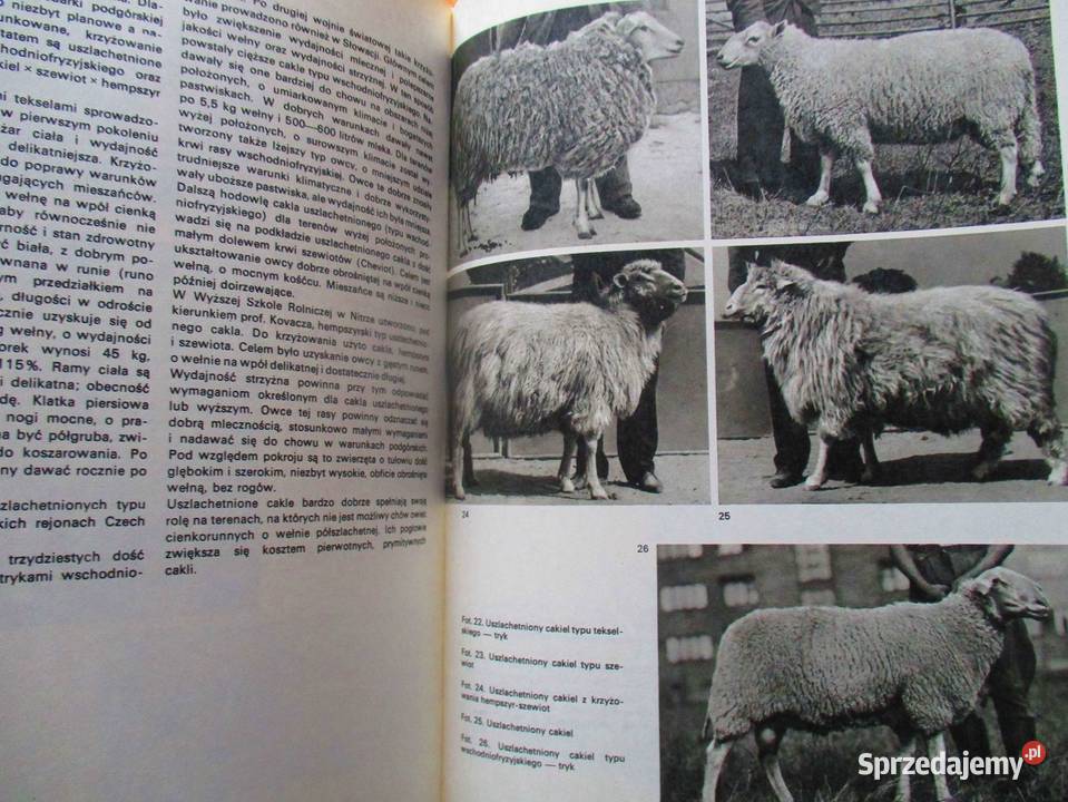 Szczegółowa patologia i terapia chorób zwierząt Książki naukowe i popularnonaukowe Łódź sprzedam