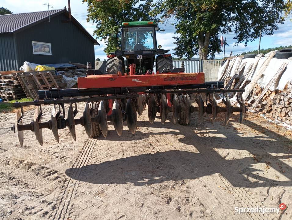Talerzówka quivogne Starogard Gdański sprzedam