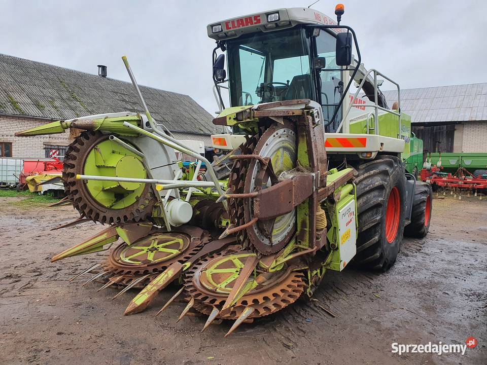 Claas Jaguar 890 840 sprowadzona dopieszczona Kolnica sprzedam