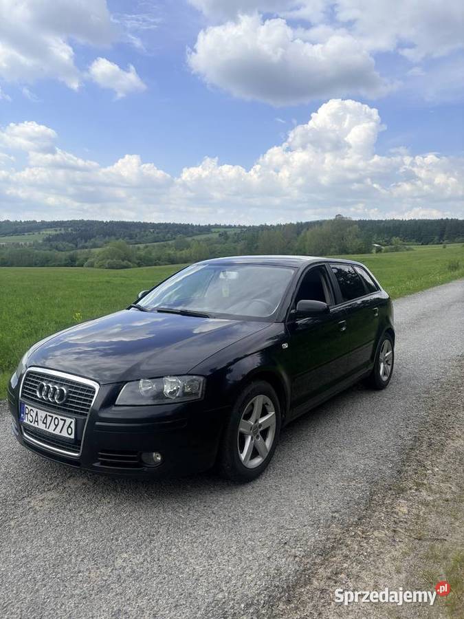Audi A3 8P 20 TDI quattro przyciemniane szyby A3 podkarpackie Czystogarb
