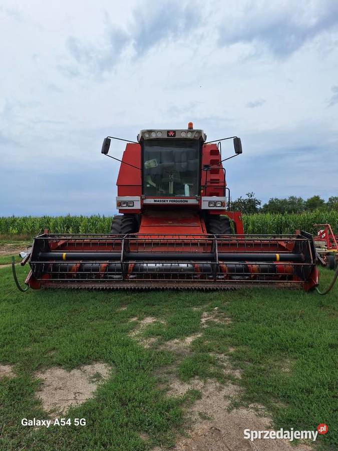 Sprzedam kombajn zbożowy Massey Ferguson 38 Massey Ferguson Zbożowe Szumowo sprzedam