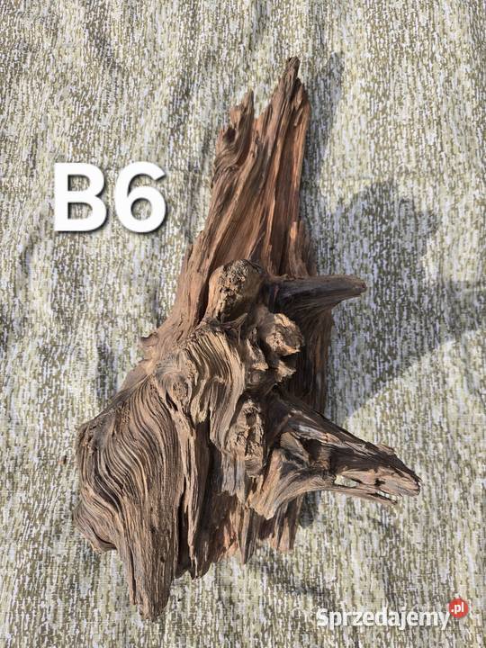 Korzeń ozdobny do domu ogrodu akwarium Trzciel