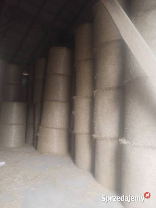 Słoma sucha spod dachu 140 dobrze zbita Rosochate Kościelne