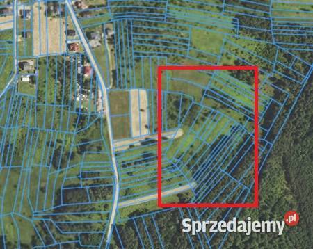 działka Żarki Kilińskiego sprzedam