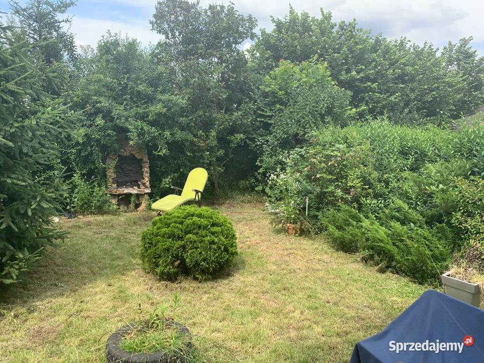 Ogródek działkowy ROD Miejski w Czeladzi Czeladź