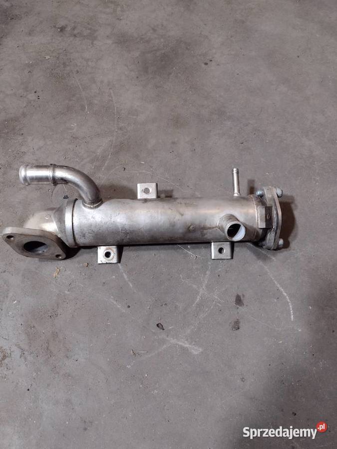 Chłodnica spalin EGR 19 TDI VW Pabianice