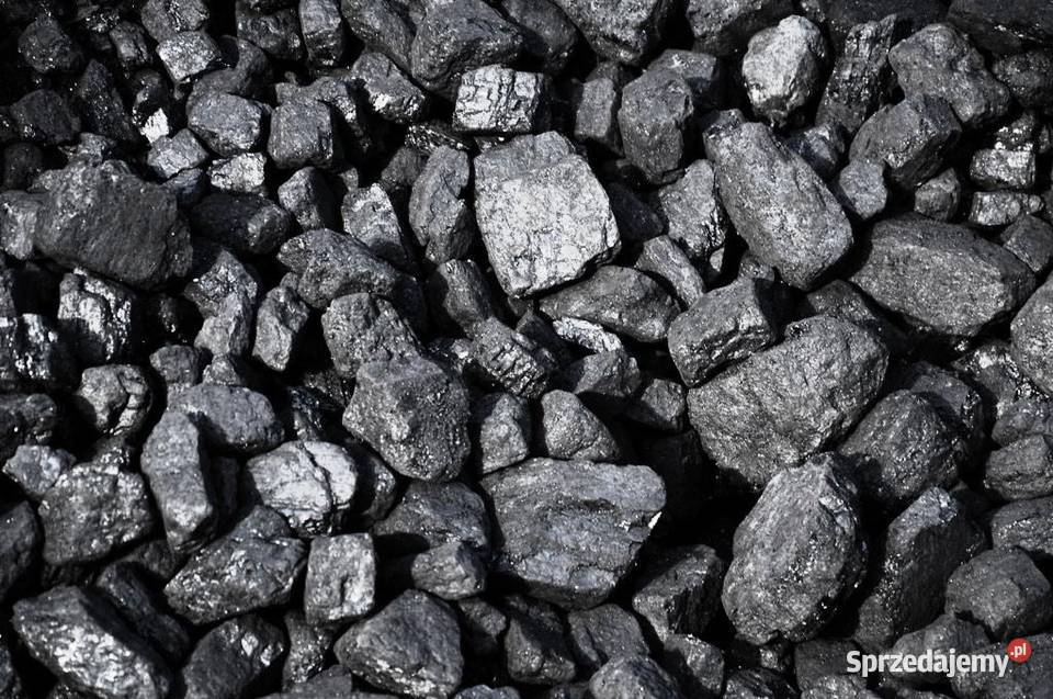 WĘGIEL KAMIENNY ORZECH