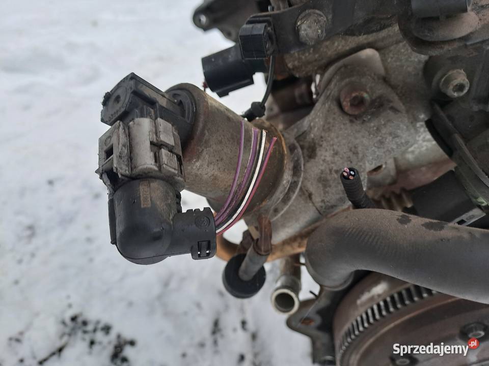 Audi Volkswagen Seat 16 16V silnik kompletny BCB śląskie Jastrzębie-Zdrój sprzedam