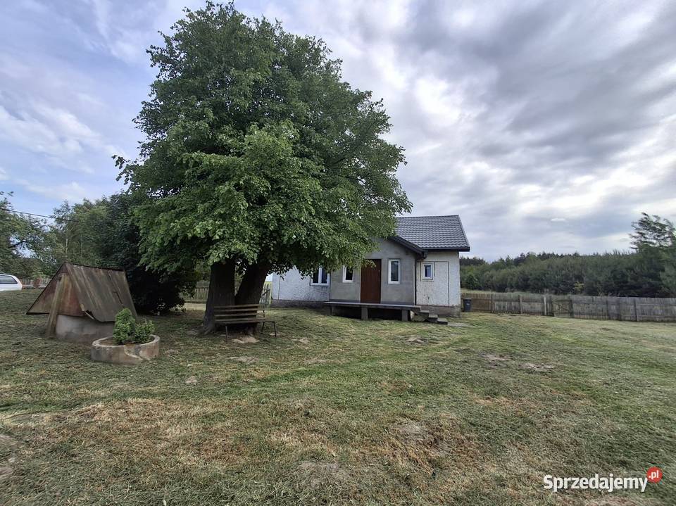 Sprzedam siedlisko z dużą działką w dolinie utwardzona