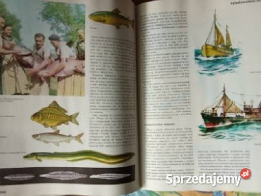 Polska moja ojczyzna Encyklopedia dzieci 1979 Łódź