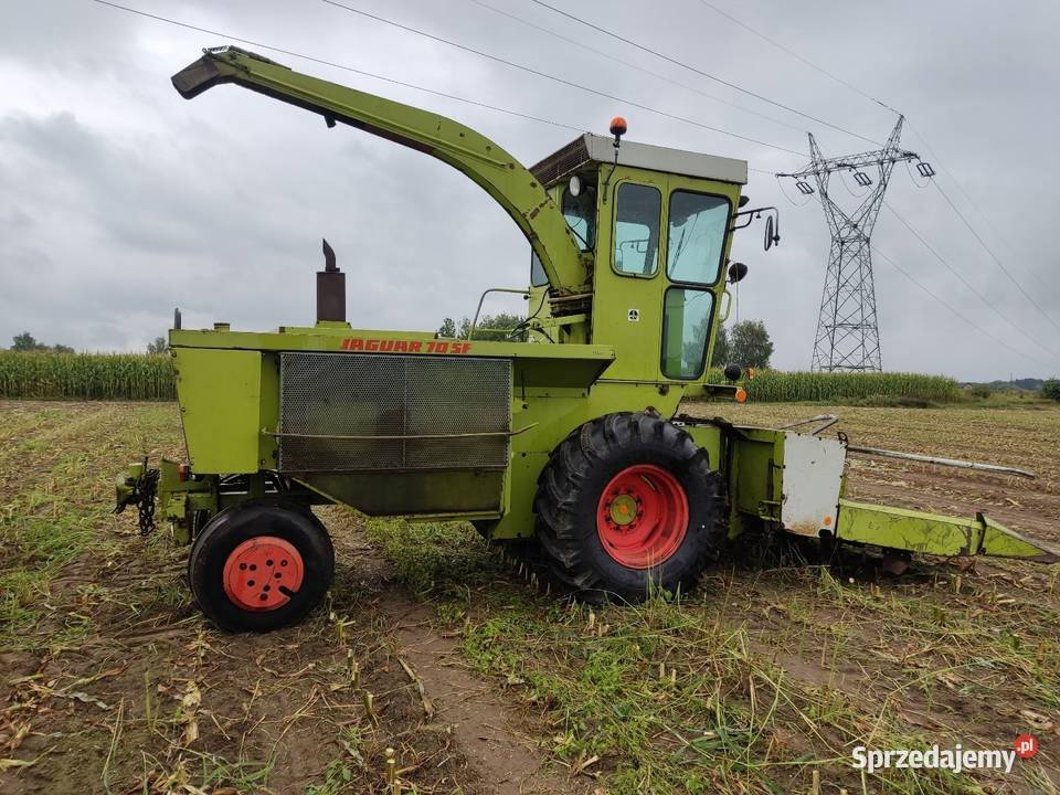 Sieczkarnia do kukurydzy CLAAS JAGUAR 70 SF kujawsko-pomorskie Lipno