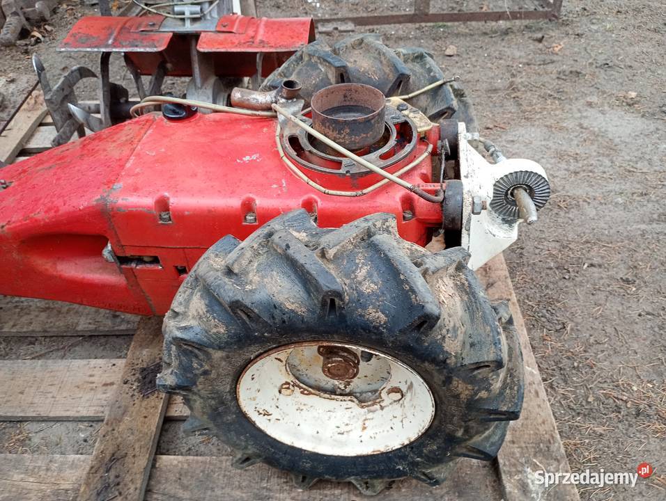 Glebogryzarka Solo dwusow do naprawy na części Tyszowce sprzedam