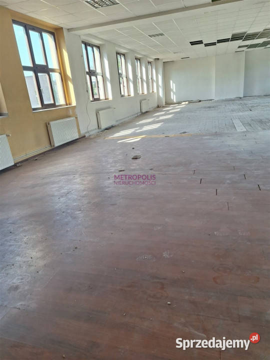 Lokal Rybnik 545 metrów 545m2