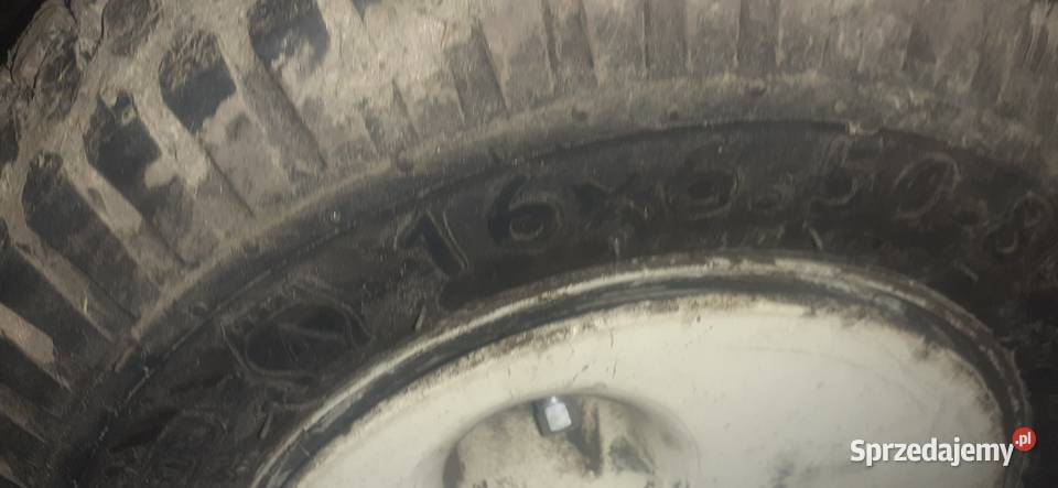 Opony kabat Wiślica