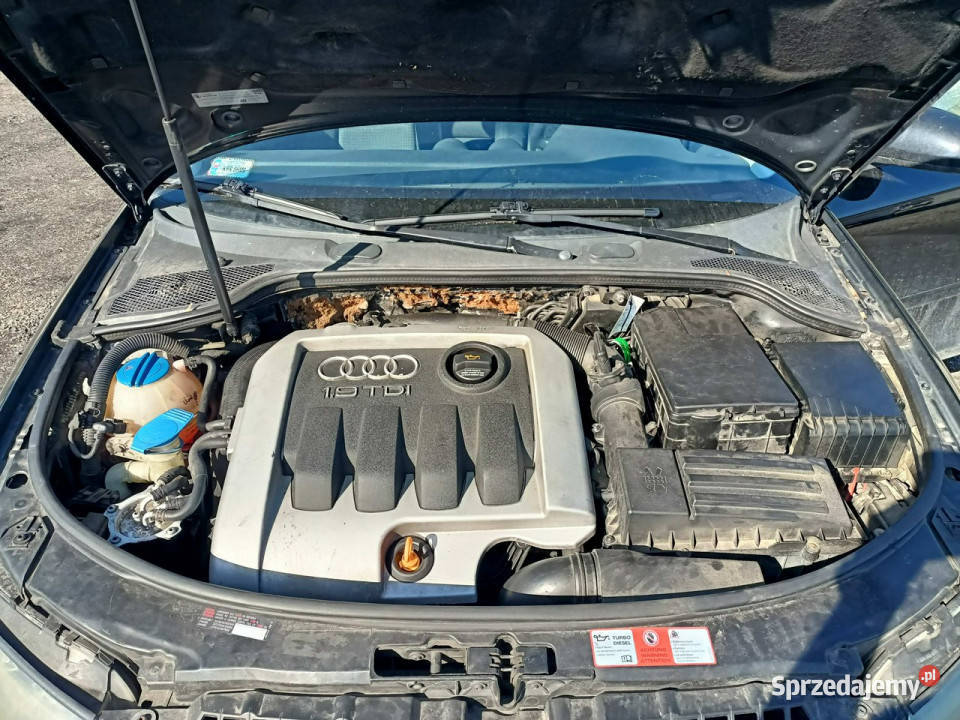 Audi A3 3drzwiowe Audi A3 19TDI 105 04r 8P manualna małopolskie Tarnów