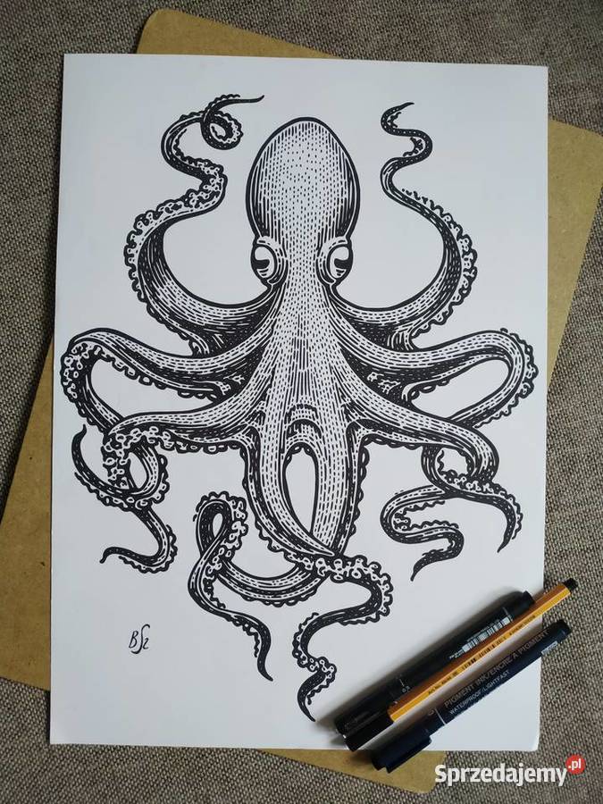Rysunek ośmiornica cienkopis blok tech A3 250 gm Warszawa sprzedam