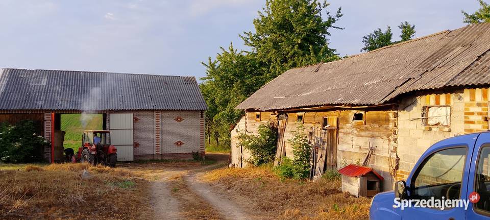 Sprzedam Dom siedlisko Gliniska
