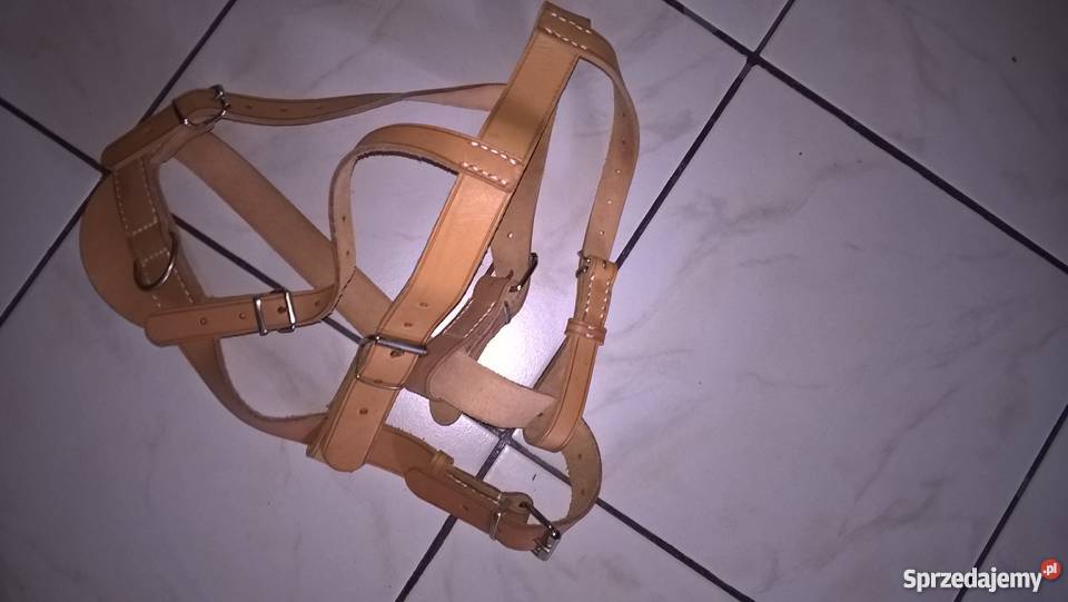 Szelkiszorki dużego psa Dla psów wielkopolskie