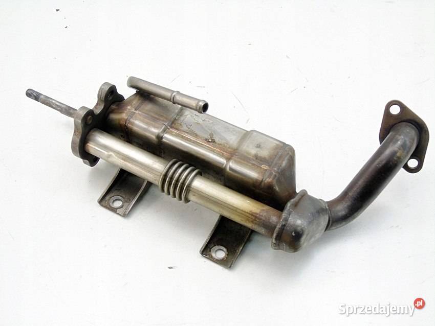 CHŁODNICA RECYRKULACJI SPALIN EGR 22 D4D LEXUS sprzedam