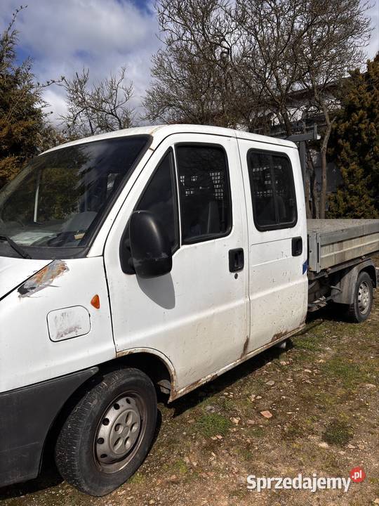 Bus Peugeot Boxer biały