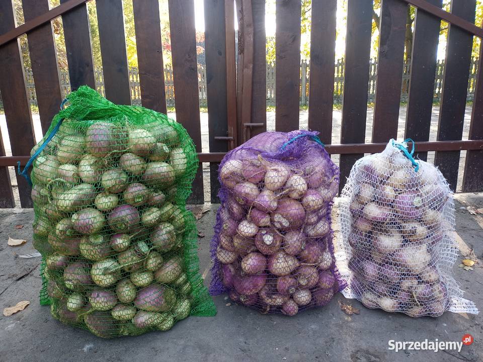 rzepa ścierniskowa Rogowska zwierząt wielkopolskie Dębicze