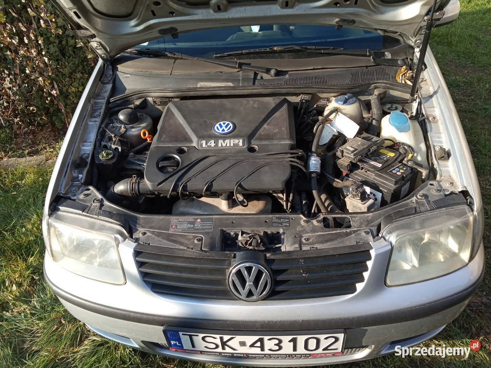 Polo 14Mpi BG Kielce