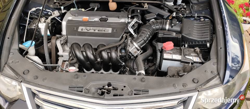 Honda Accord VIII 24 Manual Motoryzacja Słupsk
