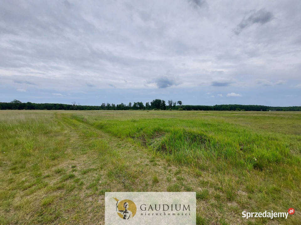 Działki letniskowe kanałem Obry Karszyn sprzedam