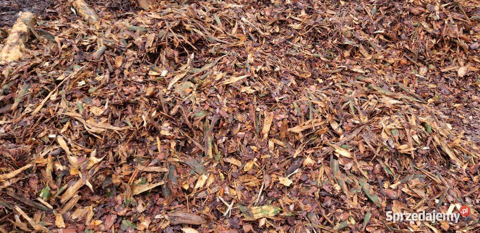 kora sosnowa luzem mieszana frakcja Krzepice