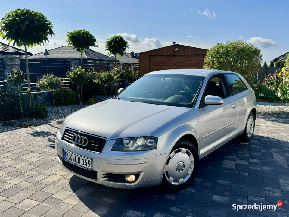 Audi A3 3drzwiowe Audi 3 16 mpi 102 Konie Xenon Rok produkcji 2003 A3 Szerominek
