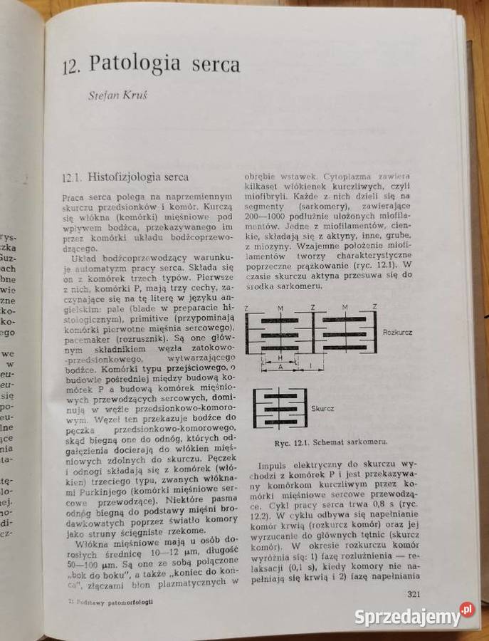Podstawy patomorfologii podręcznik studentów chemia, biochemia Osięciny