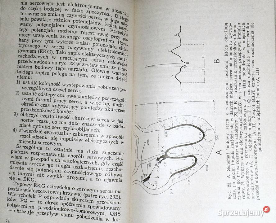 Automatyzm pracy serca Bronisław Cymborowski Rok wydania 1974