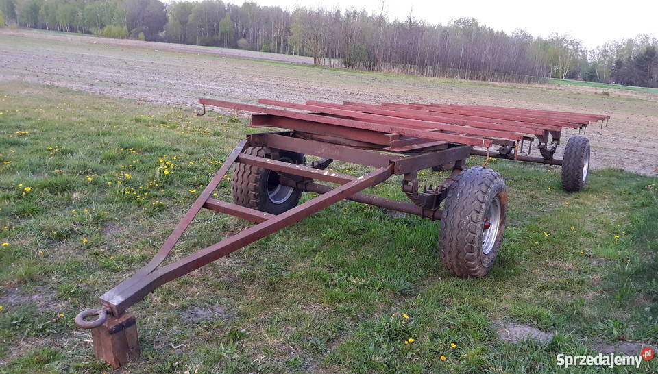 Dłużyca laweta barakowóz do bel Piotrków Trybunalski