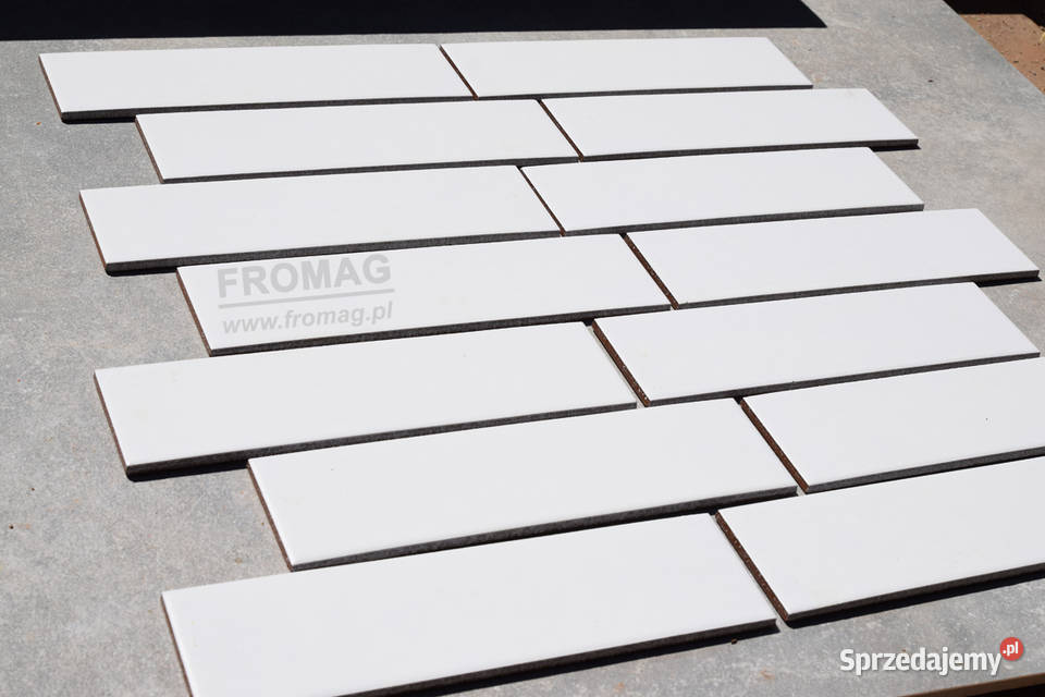 Biała płytka ścienna Elewacja szkliwiona Biały