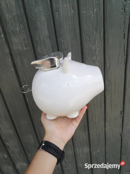 skarbonka biała świnka homeyou małopolskie Kraków