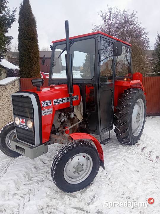 URSUS MF 255 3512 3p świętokrzyskie Gęsice