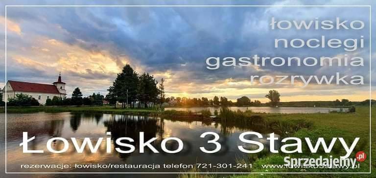 lowisko wędkarskie domki letniskowe organizacja