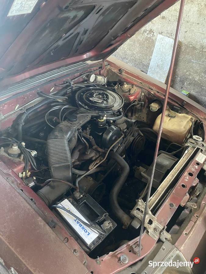 Ford Mustang Jarocin