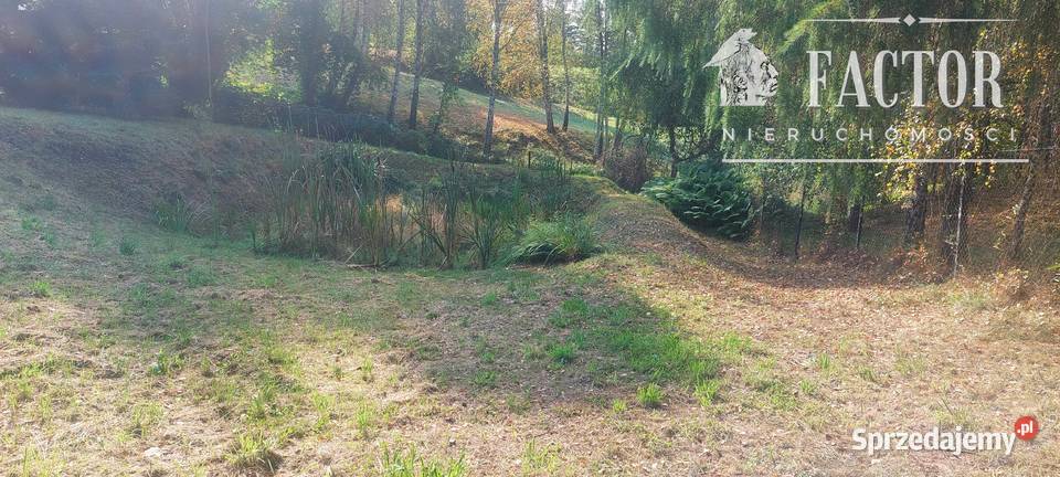 Gorlice działka budowlana 24 a 1157S2025 2400m2