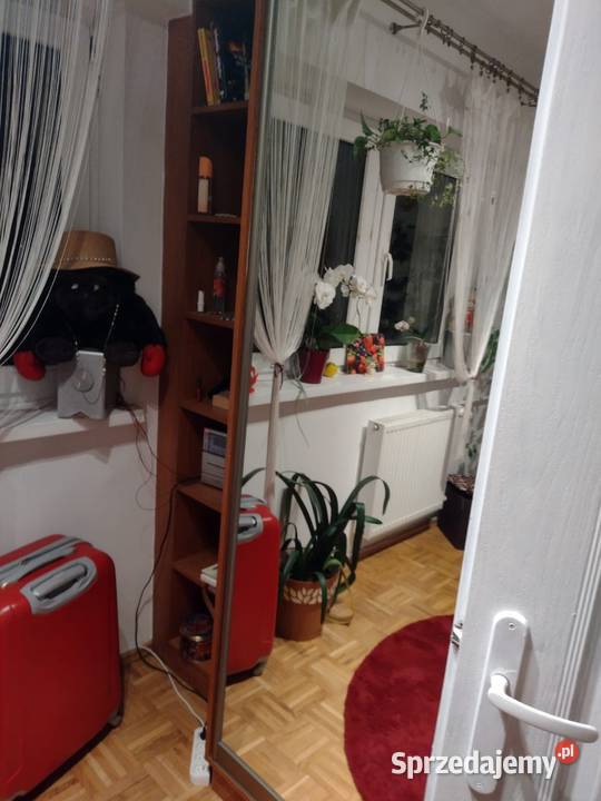 Mieszkanie na wynajem papa Warszawa