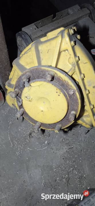 zwolnica HOLLAND Białoskóry sprzedam