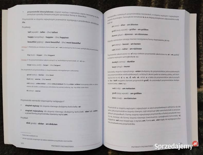 Niebezpieczne podobieństwa angielskoniemieckie Książki do nauki języka obcego Bełchatów