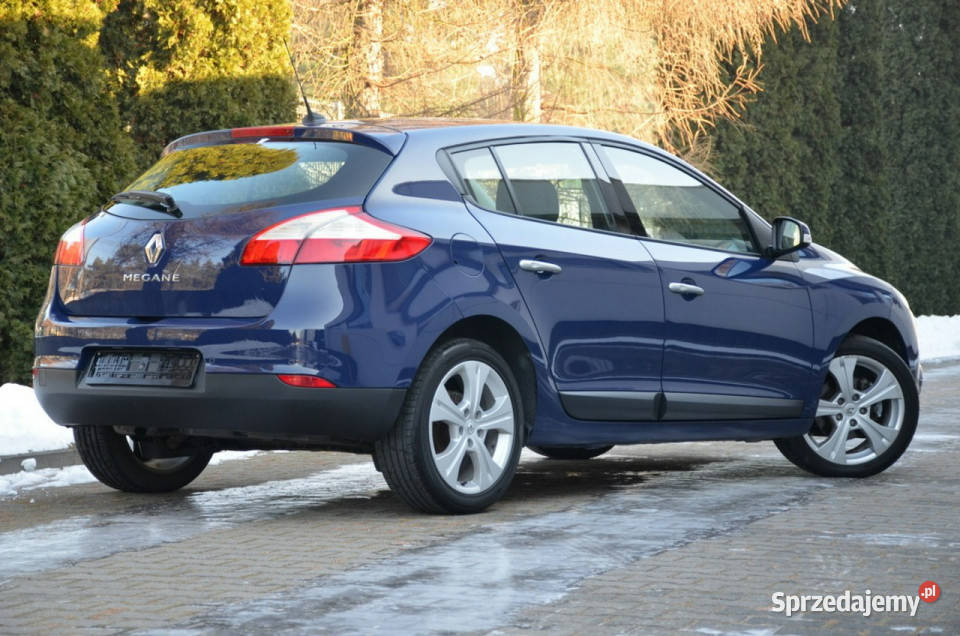 Renault Megane 16i 16V 110 Serwisowany Kutno