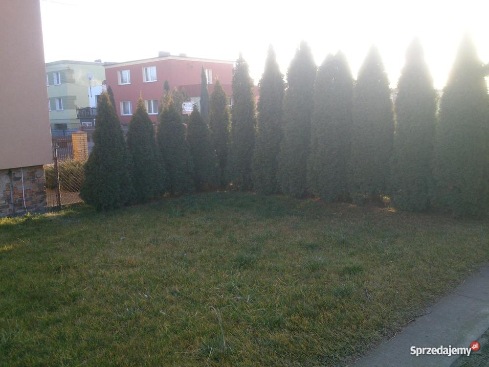 Dom na Wiry węglowe wielkopolskie Wiry sprzedam