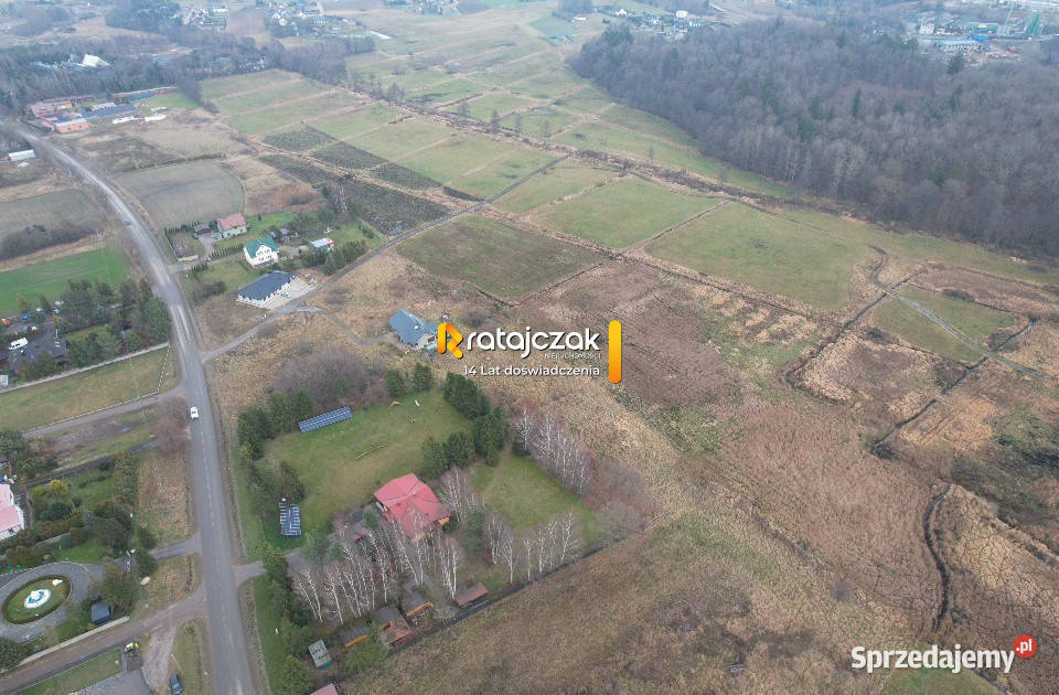 Do sprzedaży grunt Przyjaźń 4007m2 Sprzedaż sprzedam