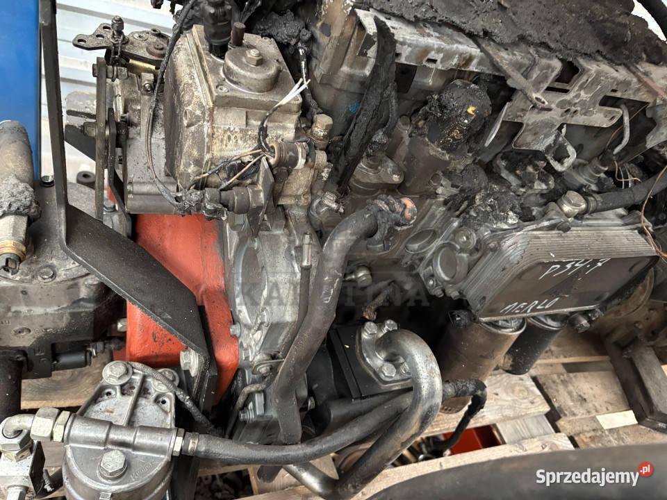 Merlo P 347 Silnik Blok Pompa Kolektor Wał Miska Pozostałe Jastrzębniki